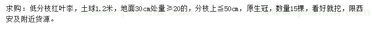 求購30量20公分以上紅葉李