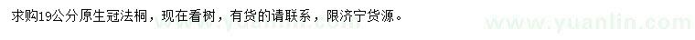 求購19公分法桐