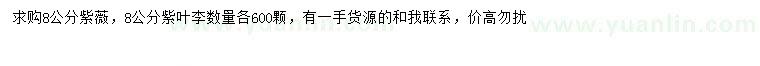 求購8公分紫薇、紫葉李