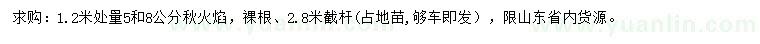 求購(gòu)1.2米量5、8公分秋火焰