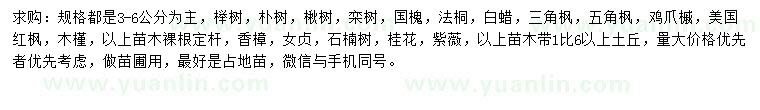 求購(gòu)櫸樹(shù)、樸樹(shù)、楸樹(shù)等