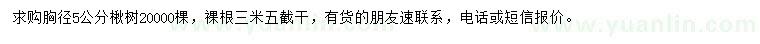 求購胸徑5公分楸樹