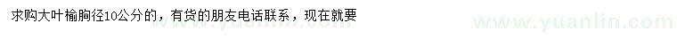求購(gòu)胸徑10公分大葉榆