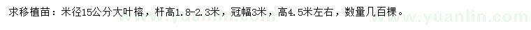 求購米徑15公分大葉榕