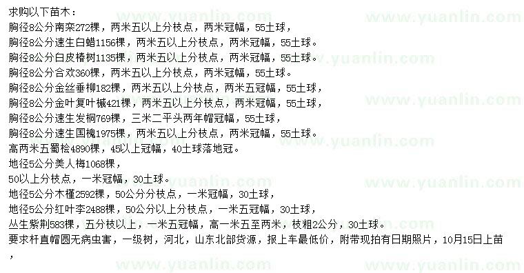求購南欒、速生白蠟、白皮椿樹(shù)等