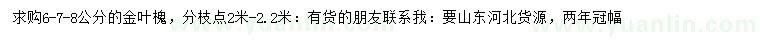 求購6、7、8公分金葉槐