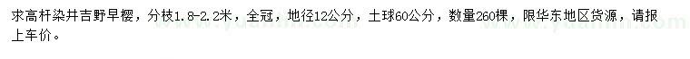 求購地徑12公分高桿染井吉野櫻