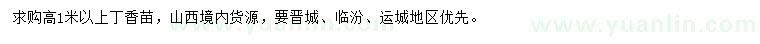 求購高1米以上丁香