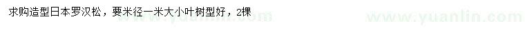 求購米徑1米造型日本羅漢松