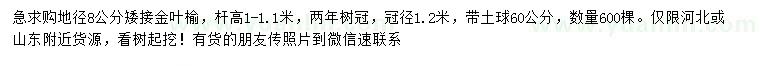 求購(gòu)地徑8公分矮接金葉榆
