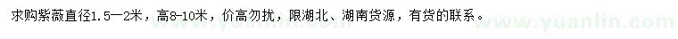 求購1.5-2米紫薇