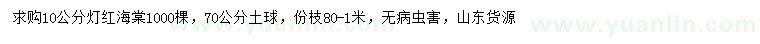 求購(gòu)10公分燈紅海棠