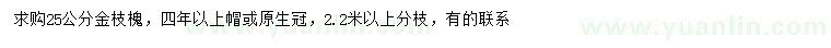 求購25公分金枝槐