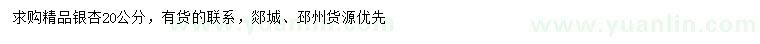 求購20公分銀杏