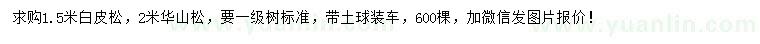 求購1.5米白皮松、2米黃山松