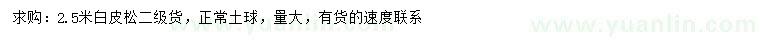 求購2.5米白皮松