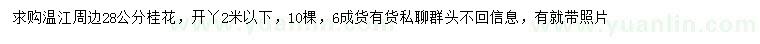 求購28公分桂花