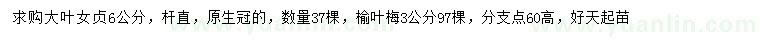 求購6公分大葉女貞、3公分榆葉梅