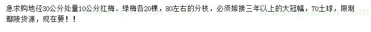 求購地徑30公分處量10公分紅梅、綠梅