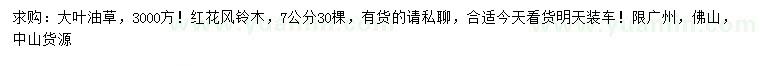 求購大葉油草、7公分紅花風(fēng)鈴木