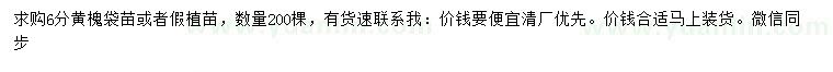 求購6公分黃槐