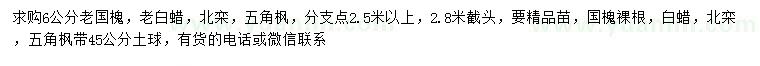 求購老國槐、老白蠟、北欒等