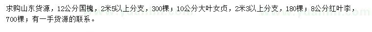 求購國槐、大葉女貞、紅葉李