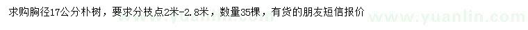 求購胸徑17公分樸樹