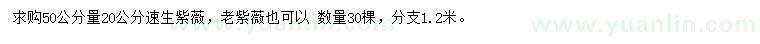 求購50量20公分速生紫薇