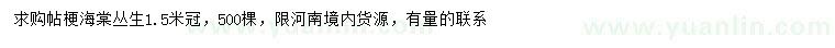 求購(gòu)冠幅1.5米叢生貼梗海棠