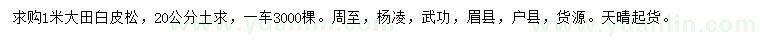 求購1米白皮松
