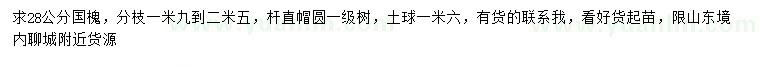 求購28公分國槐
