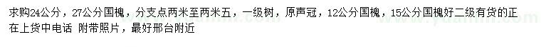 求購12、15、24、27公分國槐