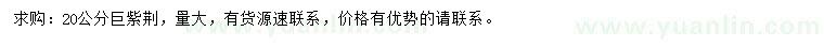 求購(gòu)20公分巨紫荊
