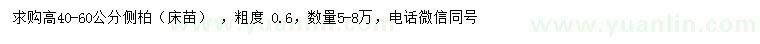 求購高40-60公分側(cè)柏