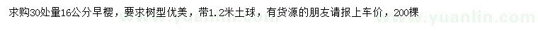 求購30量16公分早櫻