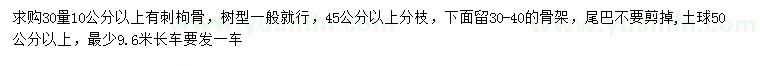 求購(gòu)30量10公分以上有刺枸骨