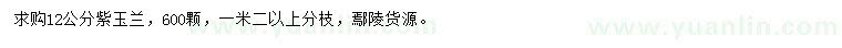 求購(gòu)12公分紫玉蘭