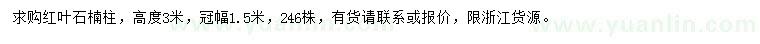 求購高3米紅葉石楠柱