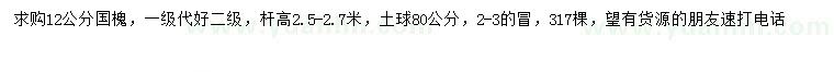 求購12公分國槐