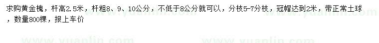 求購(gòu)8公分以上黃金槐