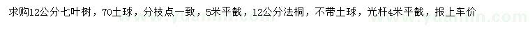 求購12公分七葉樹、法桐