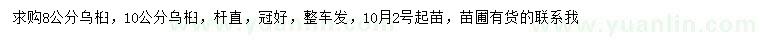求購8、10公分烏桕