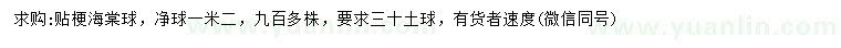 求購(gòu)冠幅1.2米貼梗海棠球