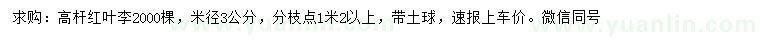 求購(gòu)米徑3公分高桿紅葉李