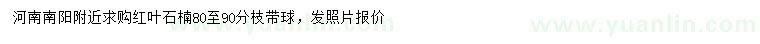 求購分枝80-9公分紅葉石楠球