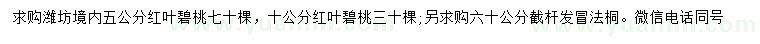 求購(gòu)5、10公分紅葉碧桃、60公分法桐