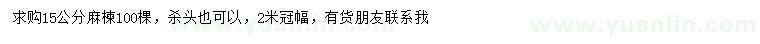 求購15公分麻楝