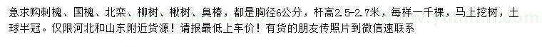 求購(gòu)刺槐、國(guó)槐、北欒等