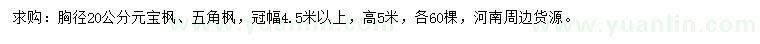 求購胸徑20公分元寶楓、五角楓